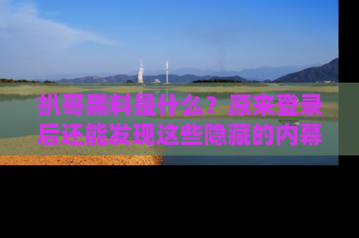 扒哥黑料是什么？原来登录后还能发现这些隐藏的内幕！