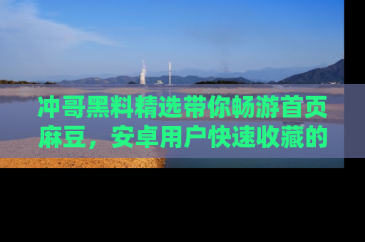冲哥黑料精选带你畅游首页麻豆，安卓用户快速收藏的秘密武器！