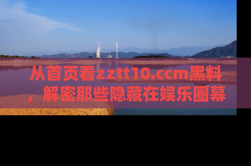 从首页看zztt10.ccm黑料，解密那些隐藏在娱乐圈幕后的丑闻故事！