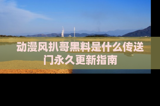 动漫风扒哥黑料是什么传送门永久更新指南