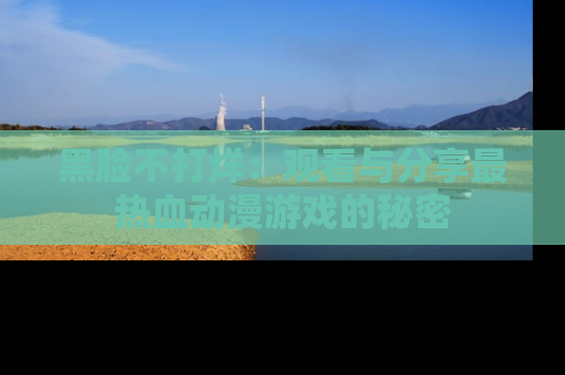 黑脸不打烊：观看与分享最热血动漫游戏的秘密