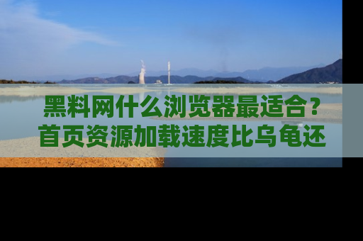 黑料网什么浏览器最适合？首页资源加载速度比乌龟还慢的体验真心吐槽！