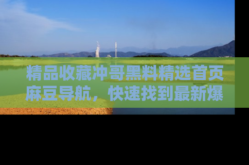 精品收藏冲哥黑料精选首页麻豆导航，快速找到最新爆料