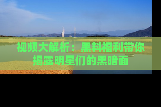 视频大解析:黑料福利带你揭露明星们的黑暗面