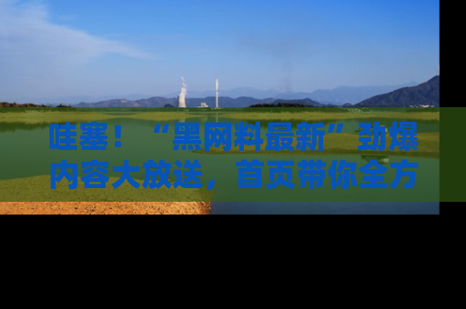 哇塞!“黑网料最新”劲爆内容大放送,首页带你全方位了解哦,小可爱们