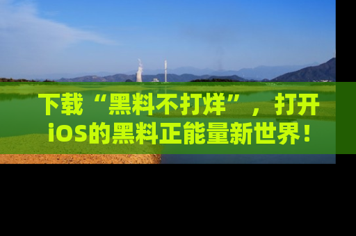 下载“黑料不打烊”,打开iOS的黑料正能量新世界!