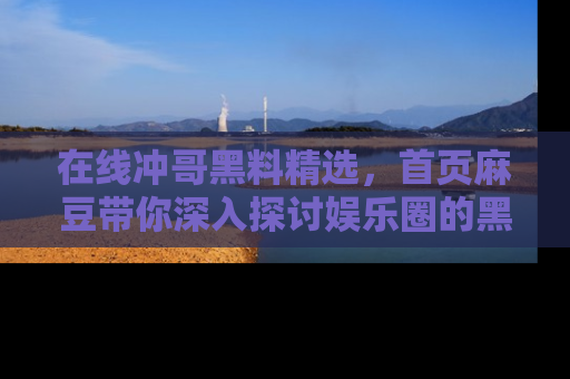 在线冲哥黑料精选，首页麻豆带你深入探讨娱乐圈的黑暗面